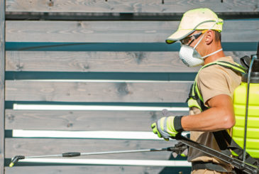 garden-insecticide-job-J4WZ3NB
