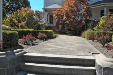 pathway-244494_1920