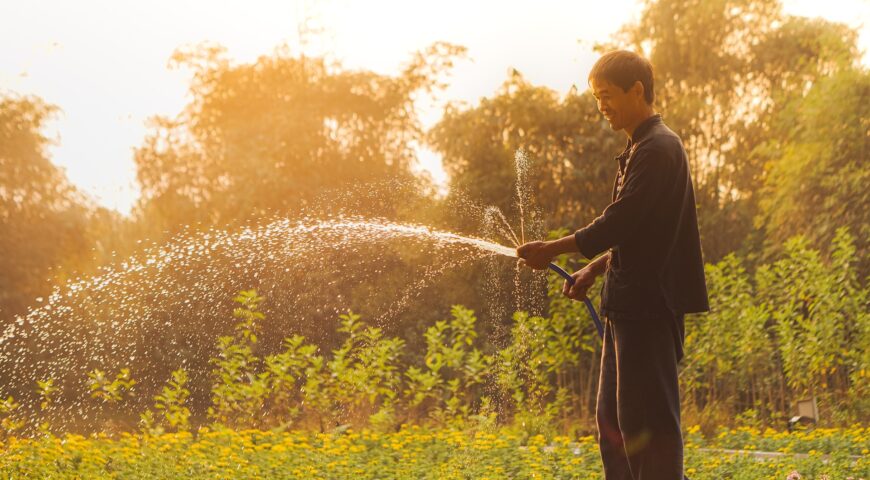 Useful Tips On How To Properly Prep Your Garden This Spring